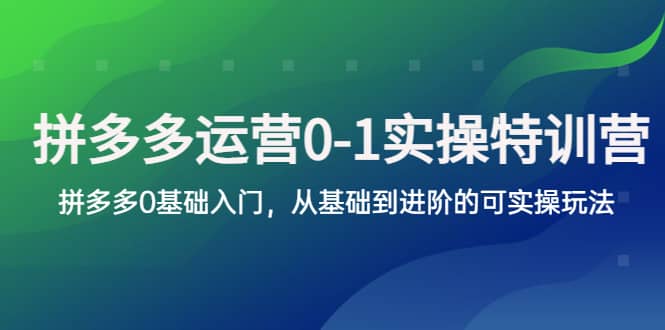 拼多多-运营0-1实操训练营，拼多多0基础入门，从基础到进阶的可实操玩法-91搞钱