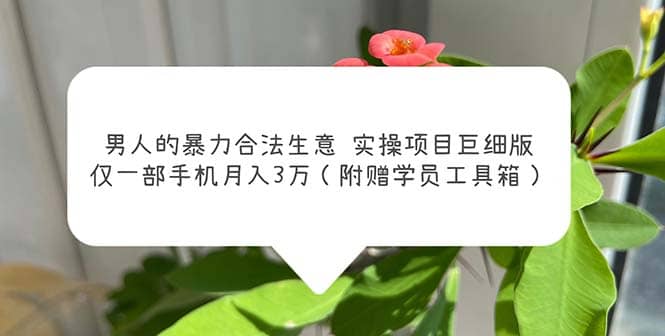 男人的暴力合法生意实操项目巨细版：仅一部手机月入3w（附赠学员工具箱）-91搞钱