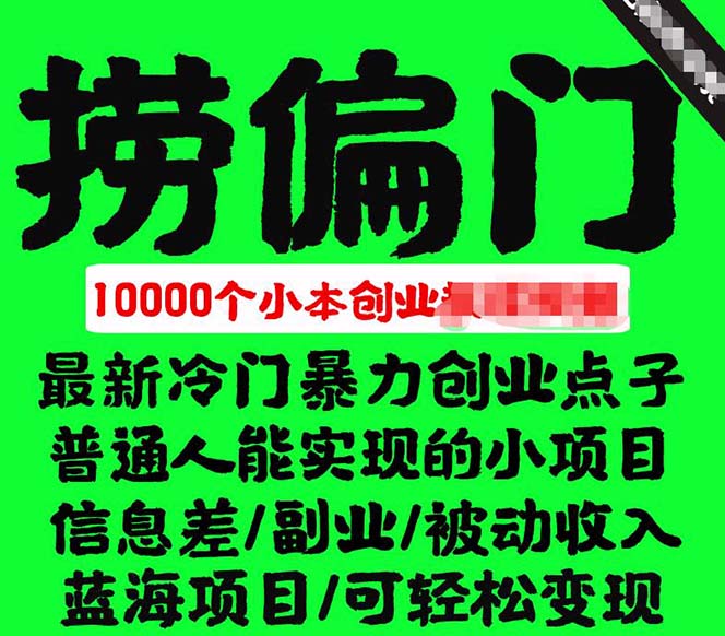 千款捞偏门小本创业小项目，总有一款适合你【无水印】-91搞钱