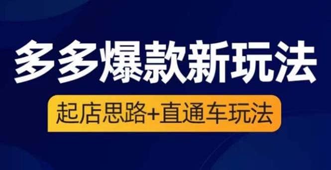 2023拼多多爆款·新玩法：起店思路+直通车玩法（3节精华课）-91搞钱