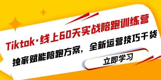 Tiktok·线上60天实战陪跑训练营，独家赋能陪跑方案，全新运营技巧干货-91搞钱