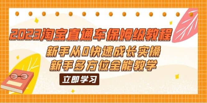 2023淘宝直通车保姆级教程：新手从0快速成长实操，新手多方位全能教学-91搞钱