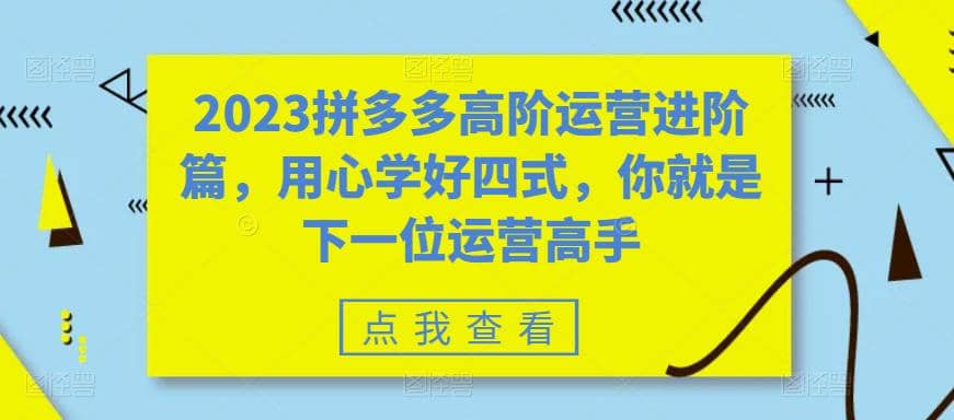 2023拼多多高阶运营进阶篇，用心学好四式，你就是下一位运营高手-91搞钱