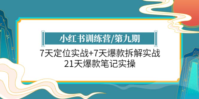 小红书训练营/第九期：7天定位实战+7天爆款拆解实战，21天爆款笔记实操-91搞钱