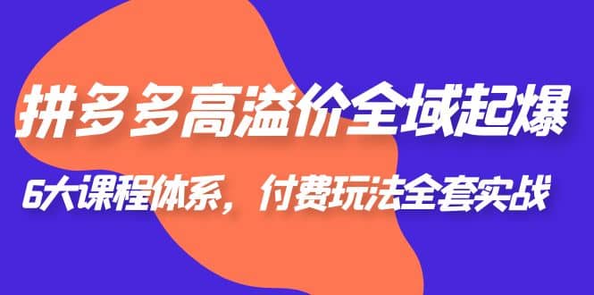 拼多多-高溢价 全域 起爆，6大课程体系，付费玩法全套实战-91搞钱