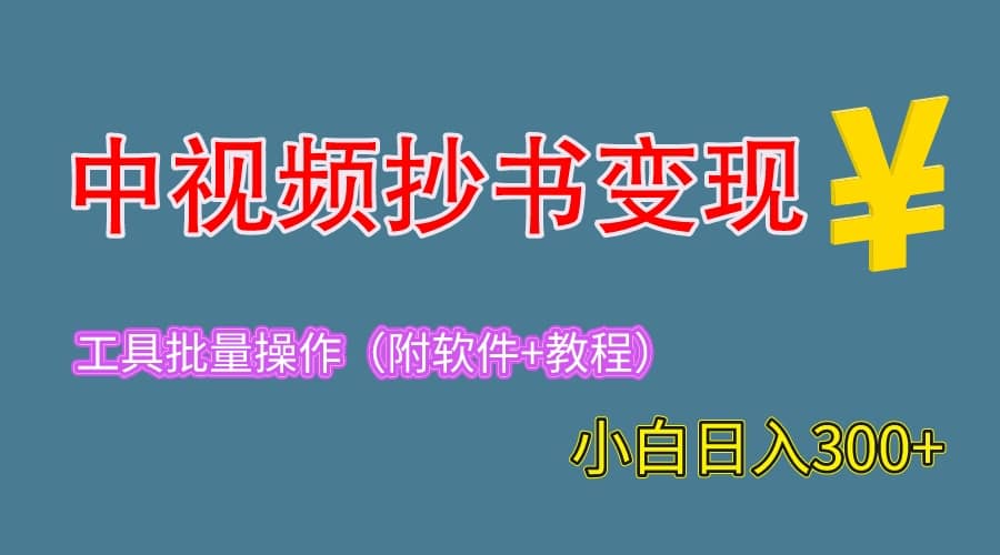 2023中视频抄书变现（附工具+教程），一天300+，特别适合新手操作的副业-91搞钱