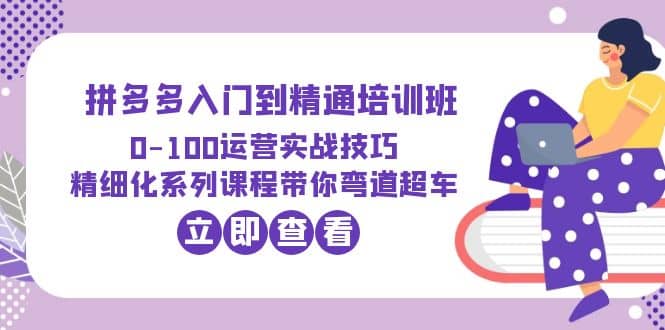 2023拼多多入门到精通培训班：0-100运营实战技巧 精细化系列课带你弯道超车-91搞钱