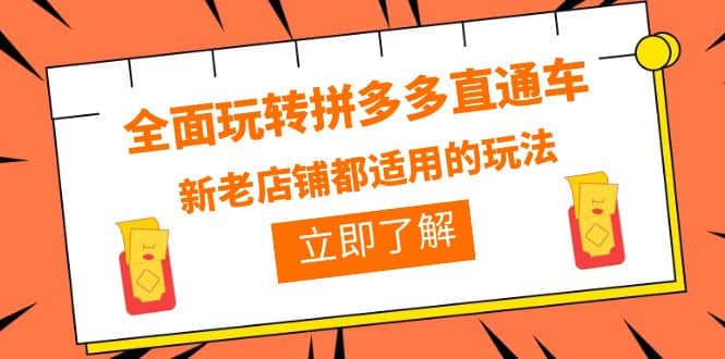 全面玩转拼多多直通车，新老店铺都适用的玩法（12节精华课）-91搞钱