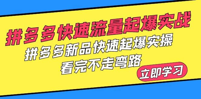 拼多多-快速流量起爆实战，拼多多新品快速起爆实操，看完不走弯路-91搞钱