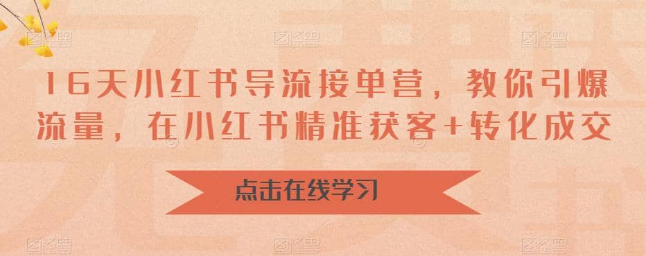 16天-小红书 导流接单营，教你引爆流量，在小红书精准获客+转化成交-91搞钱