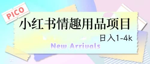 最新小红书情趣用品项目，日入1-4k-91搞钱
