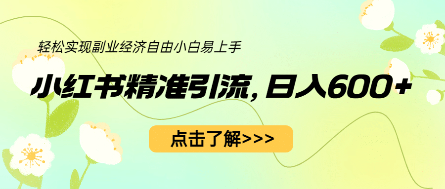 小红书精准引流，小白日入600+，轻松实现副业经济自由（教程+1153G资源）-91搞钱