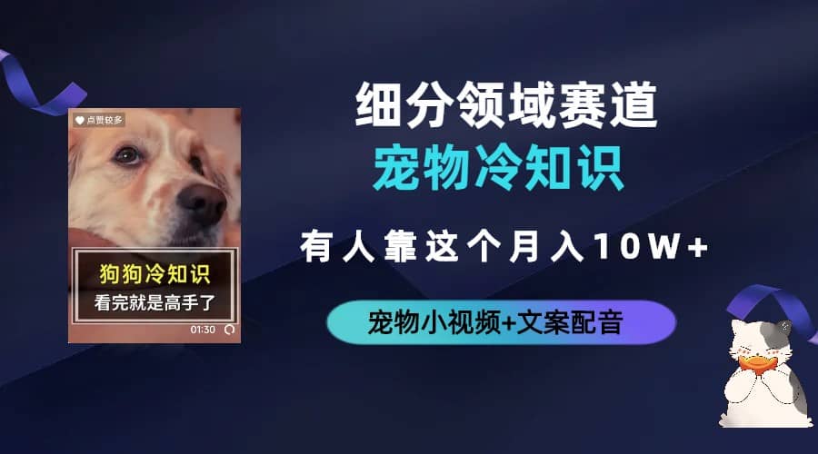 不起眼的抖音细分赛道-宠物冷知识，一段宠物视频配文案，有人靠这个月入10w-91搞钱
