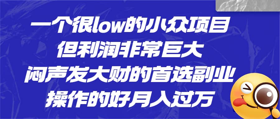 一个很low的小众项目，但利润非常巨大，闷声发大财的首选副业，月入过万-91搞钱