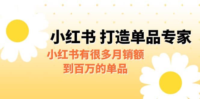 某公众号付费文章《小红书 打造单品专家》小红书有很多月销额到百万的单品-91搞钱