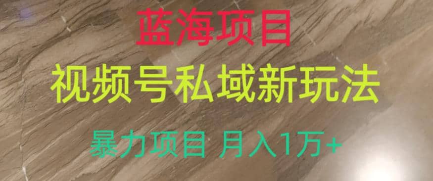 蓝海项目，视频号私域新玩法，暴力项目月入1万+【揭秘】-91搞钱