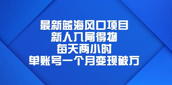 最新蓝海风口项目，新人入局得物，每天两小时，单账号一个月变现破万-91搞钱