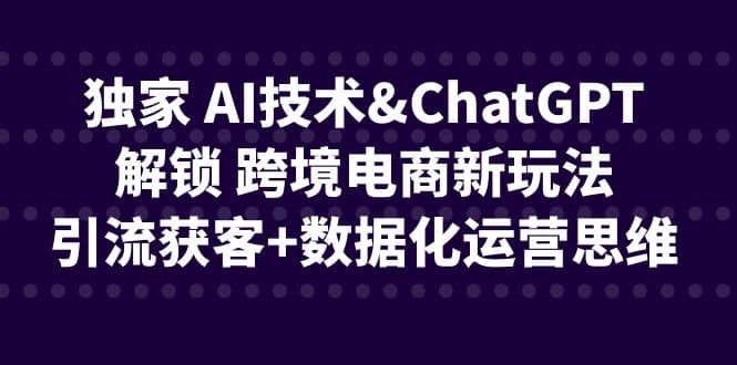 独家 AI技术ChatGPT解锁 跨境电商新玩法，引流获客+数据化运营思维-91搞钱