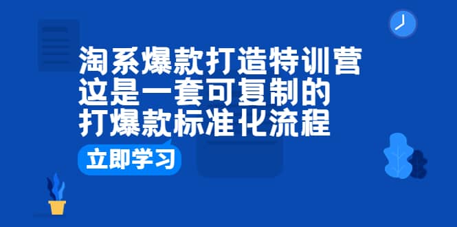 淘系爆款打造特训营：这是一套可复制的打爆款标准化流程-91搞钱