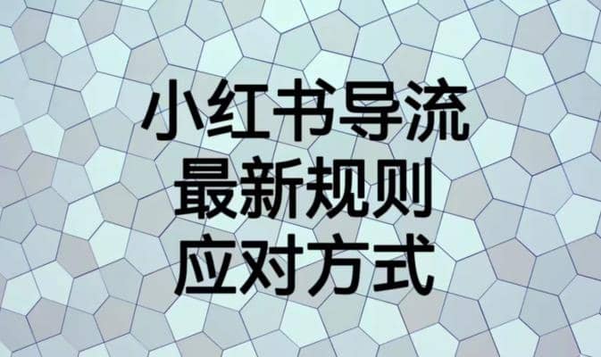 小红书导流最新规则应对方式【揭秘】-91搞钱