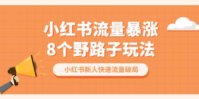小红书流量-暴涨8个野路子玩法：小红书新人快速流量破局（8节课）-91搞钱