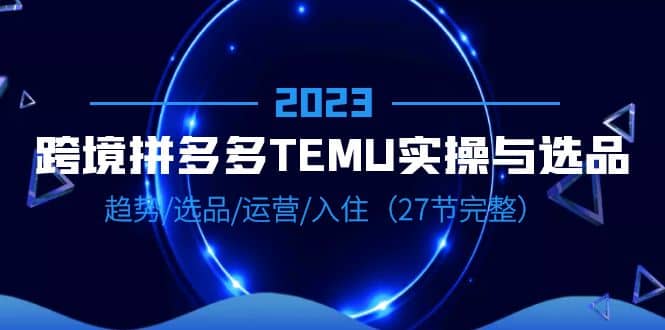 2023跨境·拼多多·TEMU实操与选品，趋势·选品·运营·入住（27节完整）-91搞钱