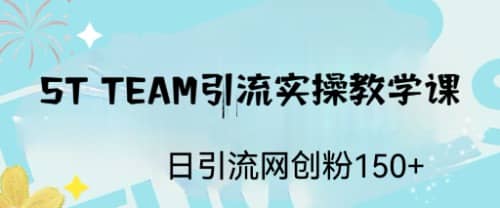 ST TEAM引流实操课，日引流网创粉100+-91搞钱