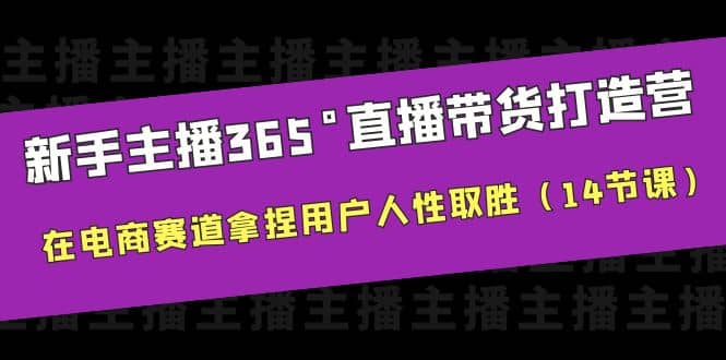 新手主播365°直播带货·打造营，在电商赛道拿捏用户人性取胜（14节课）-91搞钱