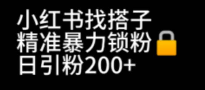 小红书找搭子暴力精准锁粉+引流日引200+精准粉-91搞钱