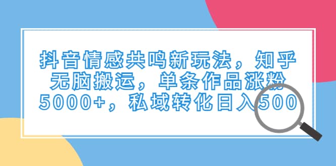 抖音情感共鸣新玩法，知乎无脑搬运，单条作品涨粉5000+，私域转化日入500-91搞钱
