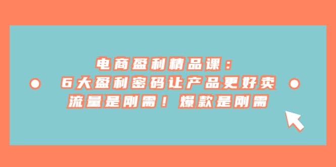 电商 盈利精品课：6大盈利 密码让产品更好卖，流量是刚需！爆款是刚需-91搞钱