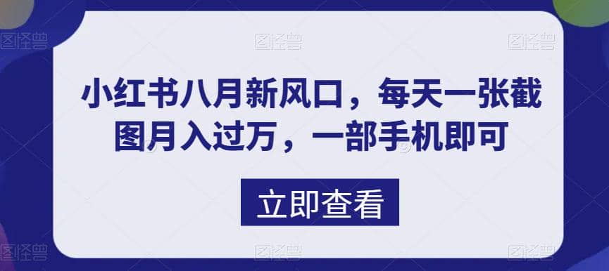 八月新风口，小红书虚拟项目一天收入1000+，实战揭秘-91搞钱