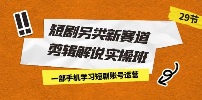 短剧另类新赛道剪辑解说实操班：一部手机学习短剧账号运营（29节 价值500）-91搞钱