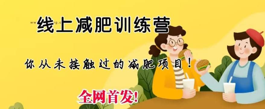 线上减肥训练营，足不出户，仅靠拉几个社群，发几条朋友圈，就可以月实现入五位【揭秘】-91搞钱
