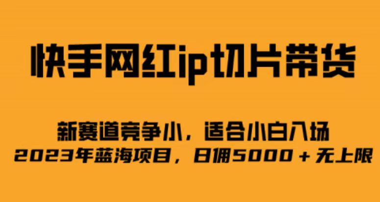 快手网红ip切片新赛道，竞争小事，适合小白 2023蓝海项目-91搞钱