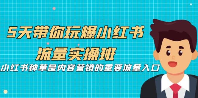 5天带你玩爆小红书流量实操班，小红书种草是内容营销的重要流量入口-91搞钱