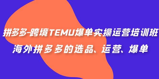 拼多多-跨境TEMU爆单实操运营培训班，海外拼多多的选品、运营、爆单-91搞钱