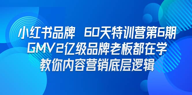 小红书品牌 60天特训营第6期 GMV2亿级品牌老板都在学 教你内容营销底层逻辑-91搞钱
