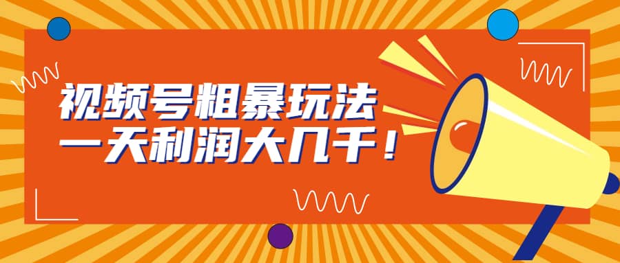 视频号粗暴玩法，一天利润大几千-91搞钱