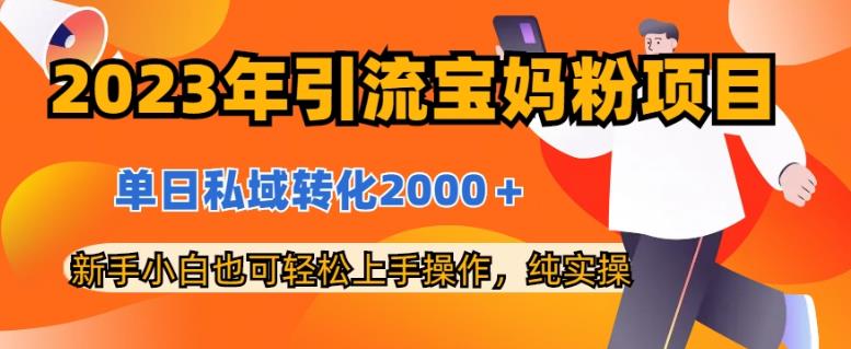 2023年引流宝妈粉项目，单日私域转化2000＋，新手小白也可轻松上手操作，纯实操-91搞钱