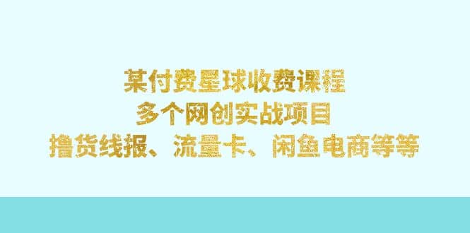 某付费星球课程：多个网创实战项目，撸货线报、流量卡、闲鱼电商等等-91搞钱