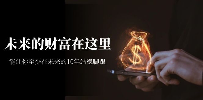 某收费文章《未来的财富在这里》能让你至少在未来的10年站稳脚跟-91搞钱