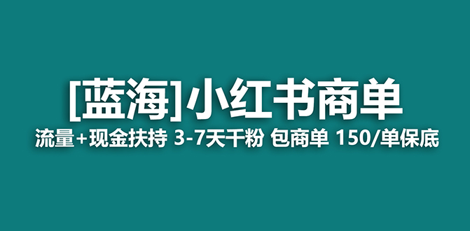【蓝海项目】小红书商单项目，7天就能接广告变现，稳定一天500+保姆级玩法-91搞钱