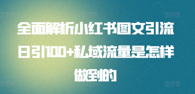 日引流100私域流量小红书图文是怎样做到的全面解析-91搞钱