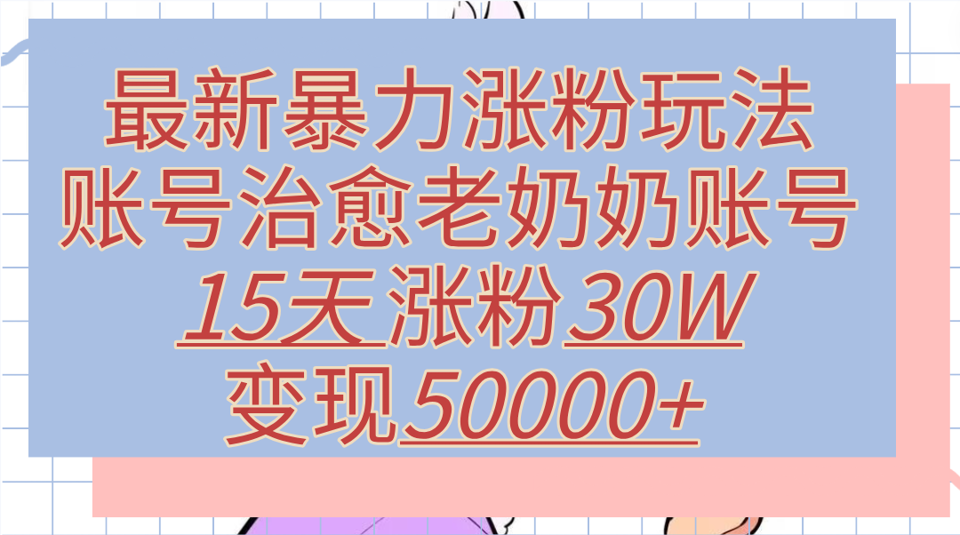 最新暴力涨粉玩法，治愈老奶奶账号，15天涨粉30W，变现50000+【揭秘】-91搞钱