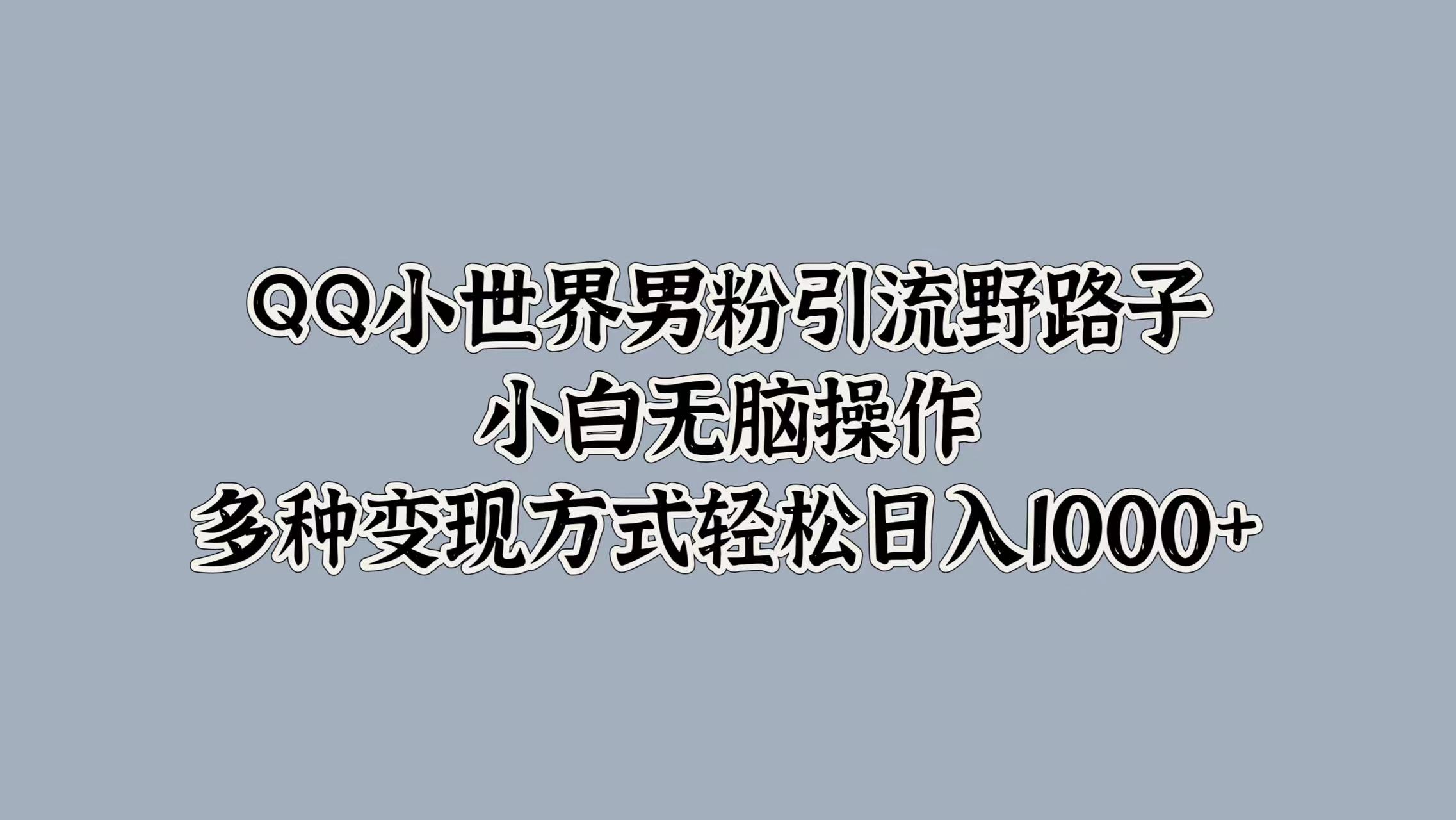 QQ小世界男粉引流野路子，小白无脑操作，多种变现方式轻松日入1000+-91搞钱