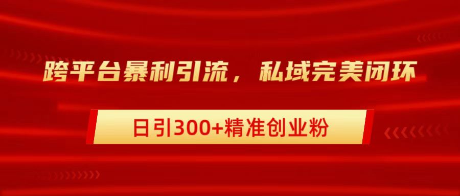 跨平台暴力引流，私域完美闭环，日引300+精准创业粉-91搞钱
