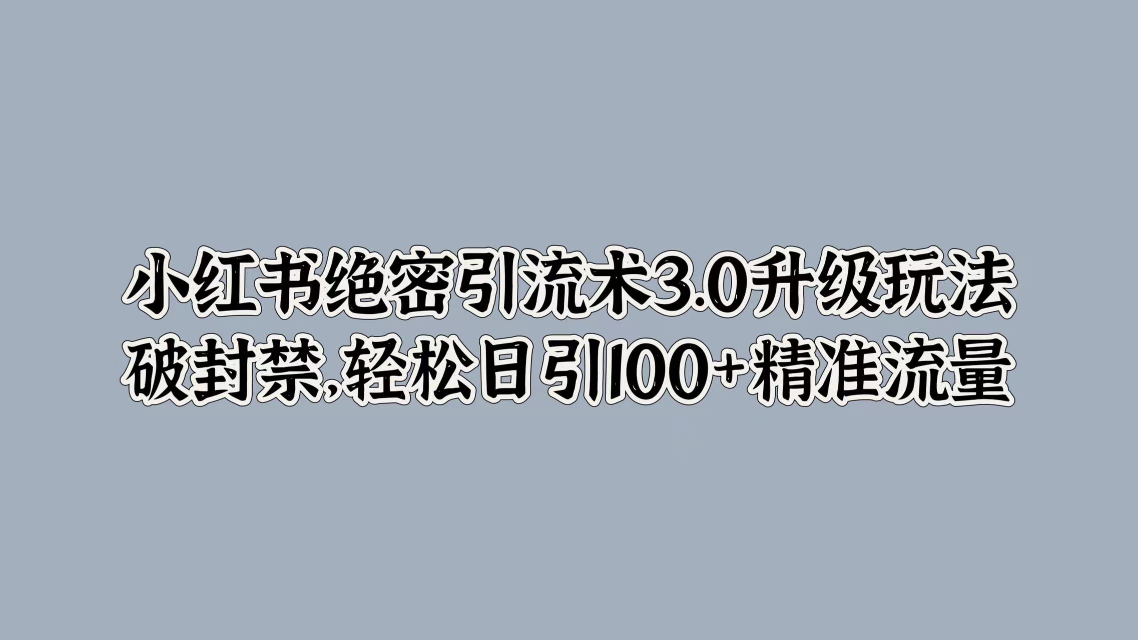 小红书绝密引流术3.0升级玩法，破封禁，轻松日引100+精准流量-91搞钱