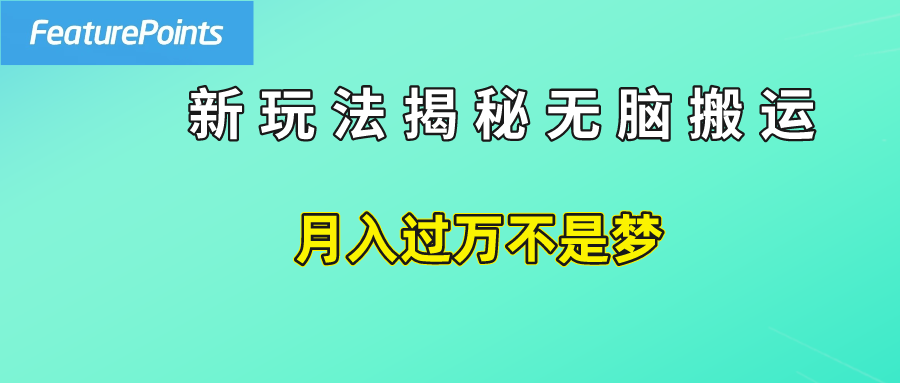 简单操作，每天50美元收入，搬运就是赚钱的秘诀！-91搞钱
