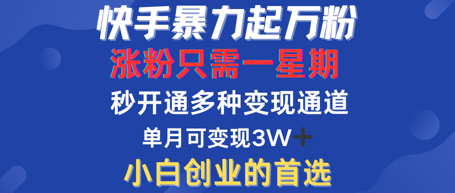 快手暴力起万粉，涨粉只需一星期！多种变现模式-91搞钱